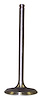 53006723 Intake Valve for 1994-1998 Jeep Models - image 1