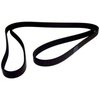 Serpentine Belt - image 4