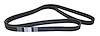 Serpentine Belt