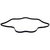 Serpentine Belt - image 4