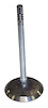 Intake Valve - image 1