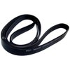 Serpentine Belt - image 4