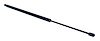 55113632AC Liftgate Support