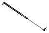 Liftgate Support - image 1