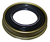 Differential Pinion Seal - image 1