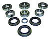 C825MASKIT Differential Overhaul Kit - image 1