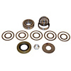 Pinion Bearing Kit - image 1