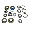Differential Master Overhaul Kit - image 1