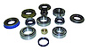D30LMASKIT Differential Master Overhaul Kit - image 1