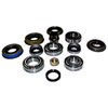 D30LMASKIT Differential Master Overhaul Kit - image 2