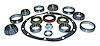 D35MASKIT Differential Master Overhaul Kit - image 1