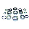 Differential Master Overhaul Kit - image 1