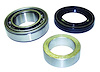 D35WJBK Axle Shaft Bearing Kit, 1999-2004 Jeep Grand Cherokee - image 1