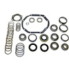Differential Master Overhaul Kit - image 1
