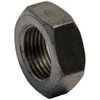 Sector Shaft Nut - image 2