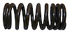 Valve Spring