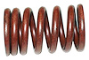 Valve Spring - image 1