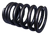 Valve Spring - image 1