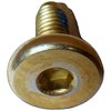 Brake Caliper Screw - image 4