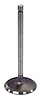 Intake Valve - image 1