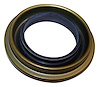 Differential Pinion Seal - image 1