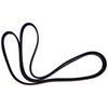 Accessory Drive Belt - image 2