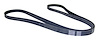 Serpentine Belt - image 1