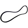 Accessory Drive Belt - image 2