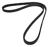 Accessory Drive Belt - image 1