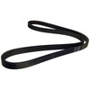Accessory Drive Belt - image 2