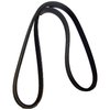Accessory Drive Belt - image 3
