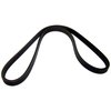 Accessory Drive Belt - image 4