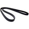 Accessory Drive Belt - image 4