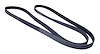Serpentine Belt