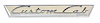 B5C-8125622-A Door Name Plate, Custom Cab, 1955-56 Ford Pickup - image 1