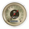 AMERICAN NICKEL 3 SPEEDO - image 1