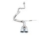 AWE Track Edition Cat-back Exhaust for Ford Focus ST - Chrome Silver Tips - image 3