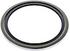 OIL SEAL