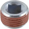 PLUG - image 3
