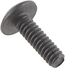 SCREW - image 1