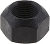 NUT - image 1