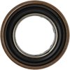 Seals - image 3