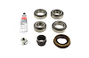 Standard Differential Bearing Kit Dana Super 44 (226mm) - image 1