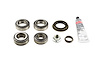 Standard Differential Bearing Kit Dana 35 (194mm) - image 1