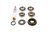 Standard Differential Bearing Kit Dana Super 30 (186mm) - image 1