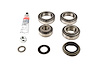 Standard Differential Bearing Kit Dana 70U/70U2 (267mm) - image 1