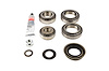 Standard Differential Bearing Kit Dana 70 (267mm) - image 1