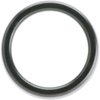 SLINGER - image 2