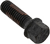SCREW - FLANGE HEAD - image 1