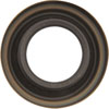 Seals - image 3